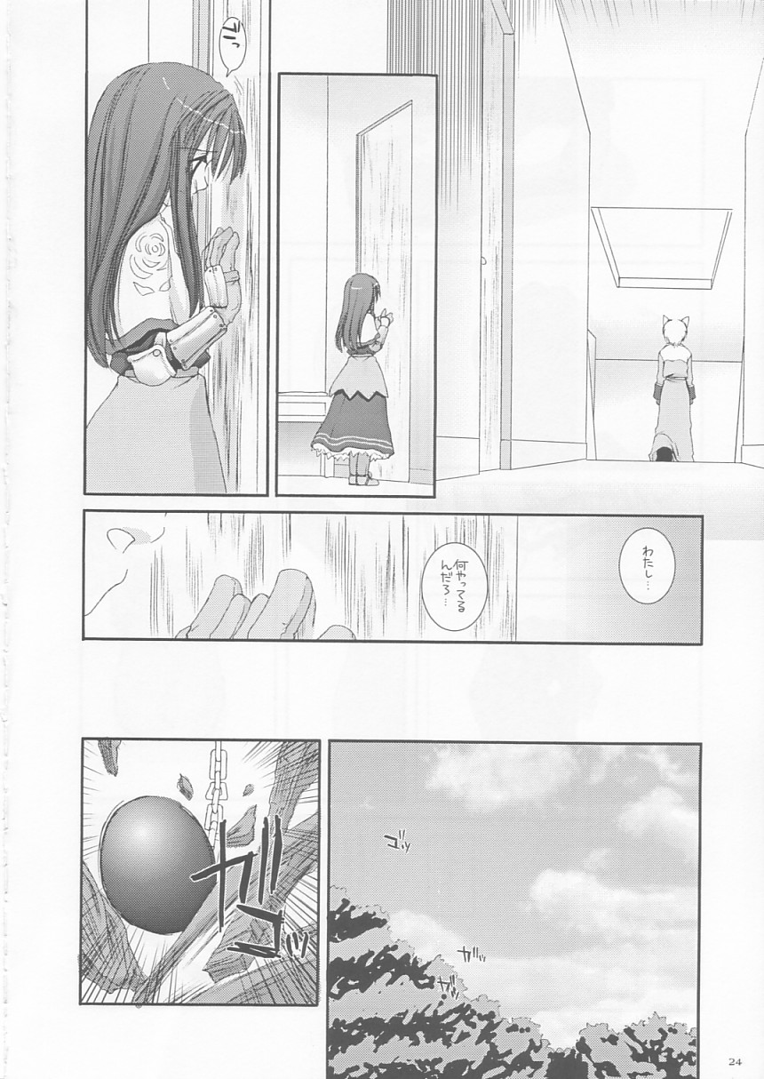 (CR33) [Digital Lover (Nakajima Yuka)] D.L. action 17 (Ragnarok Online) - Page 24
