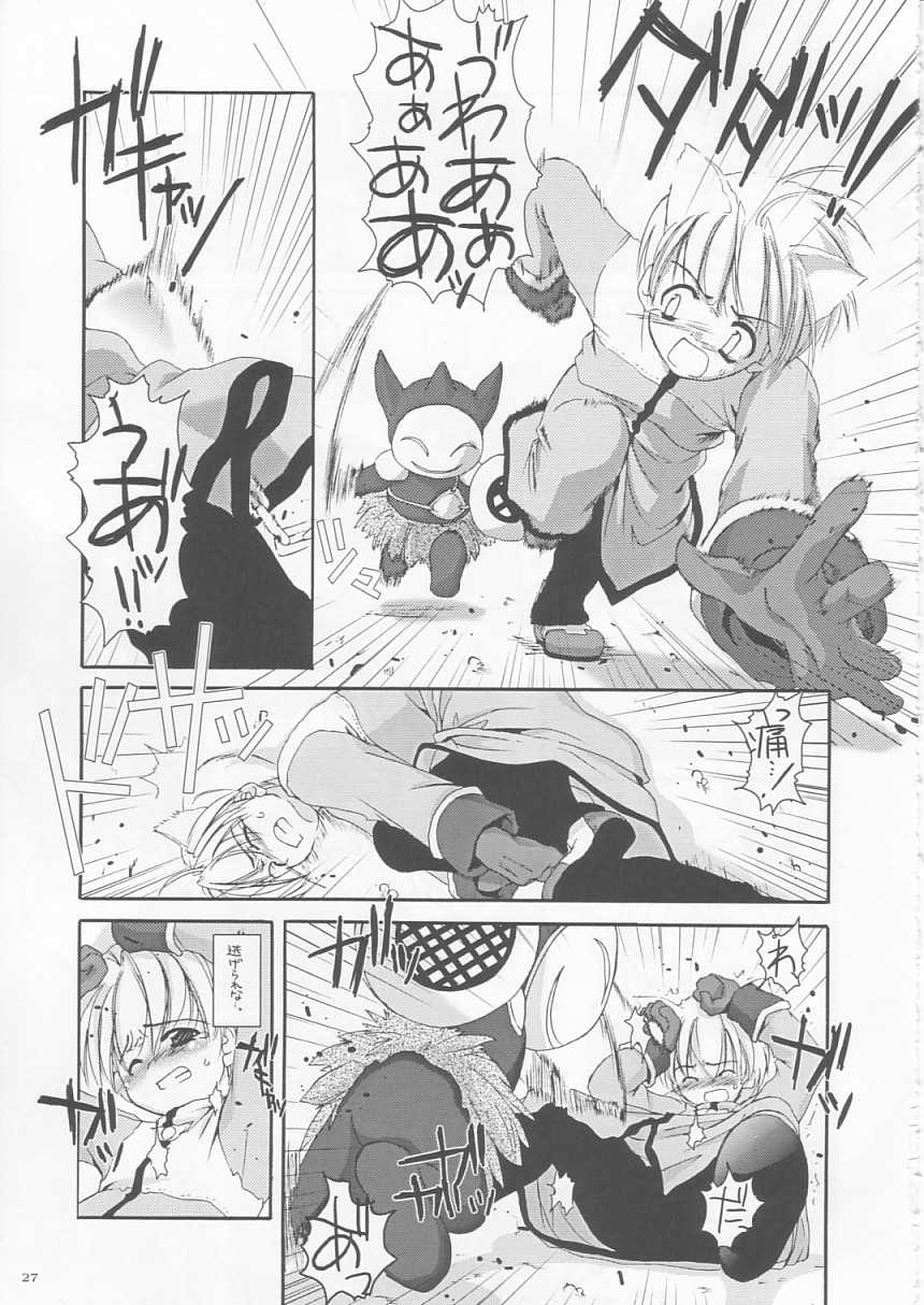 (CR33) [Digital Lover (Nakajima Yuka)] D.L. action 17 (Ragnarok Online) - Page 27