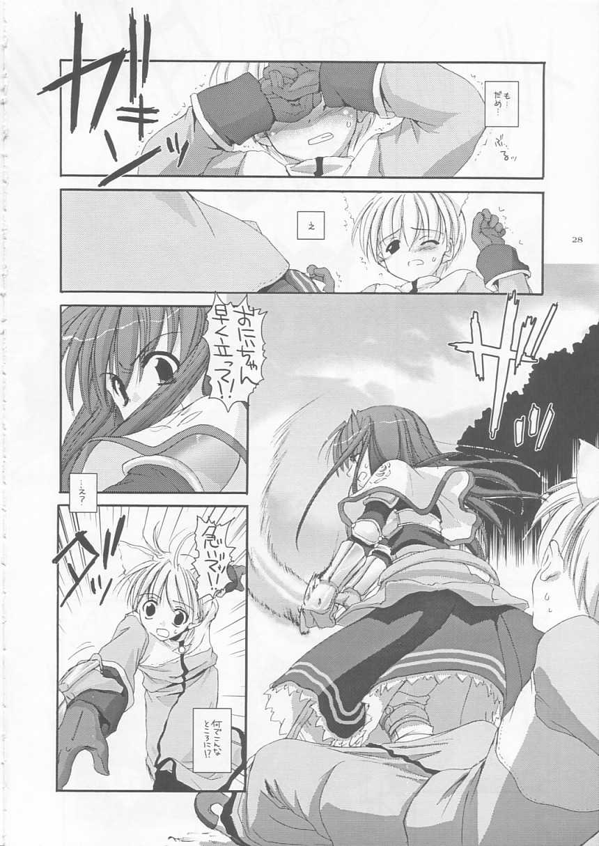 (CR33) [Digital Lover (Nakajima Yuka)] D.L. action 17 (Ragnarok Online) - Page 28