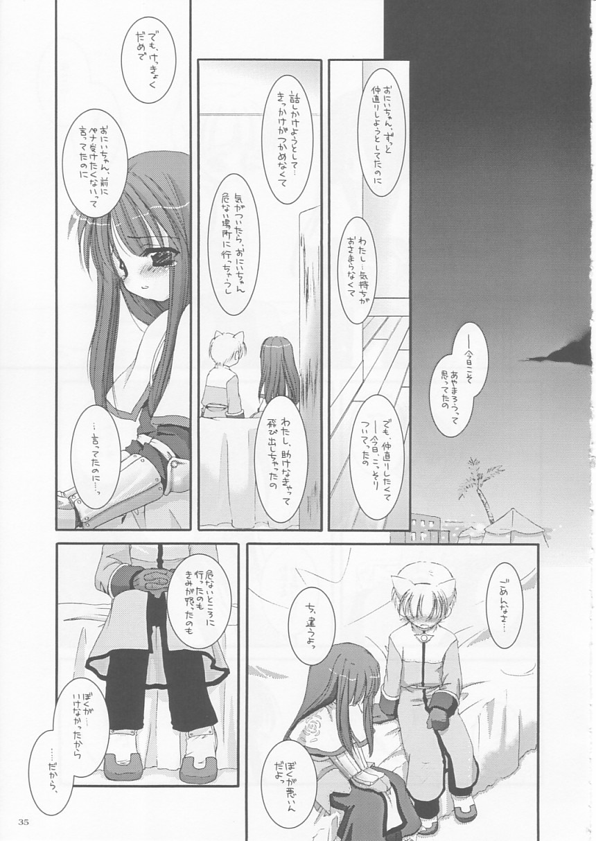 (CR33) [Digital Lover (Nakajima Yuka)] D.L. action 17 (Ragnarok Online) - Page 35