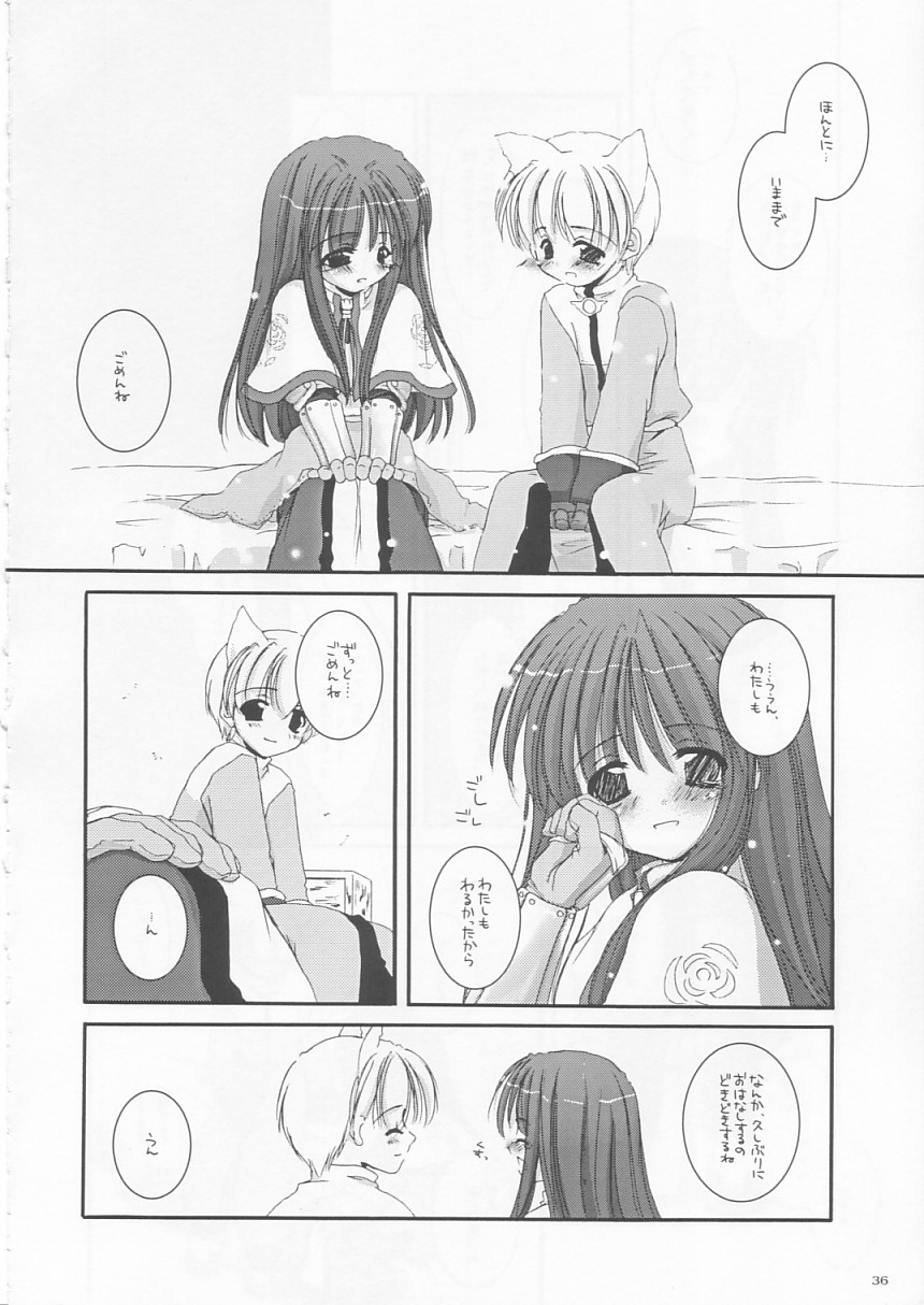 (CR33) [Digital Lover (Nakajima Yuka)] D.L. action 17 (Ragnarok Online) - Page 36