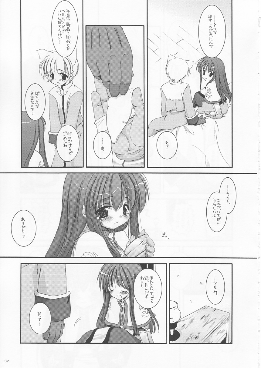 (CR33) [Digital Lover (Nakajima Yuka)] D.L. action 17 (Ragnarok Online) - Page 37
