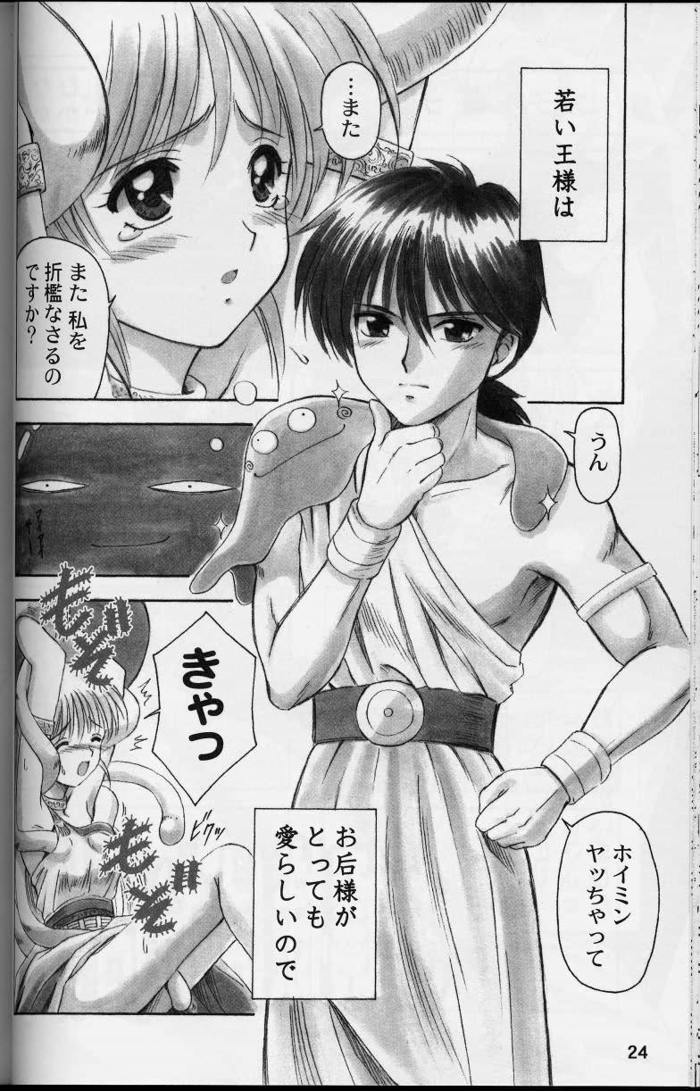 (CR33) [STUDIO RUNAWAY WOLF (Nakajima Akihiko)] Moe Moe Quest (Dragon Quest) - Page 24