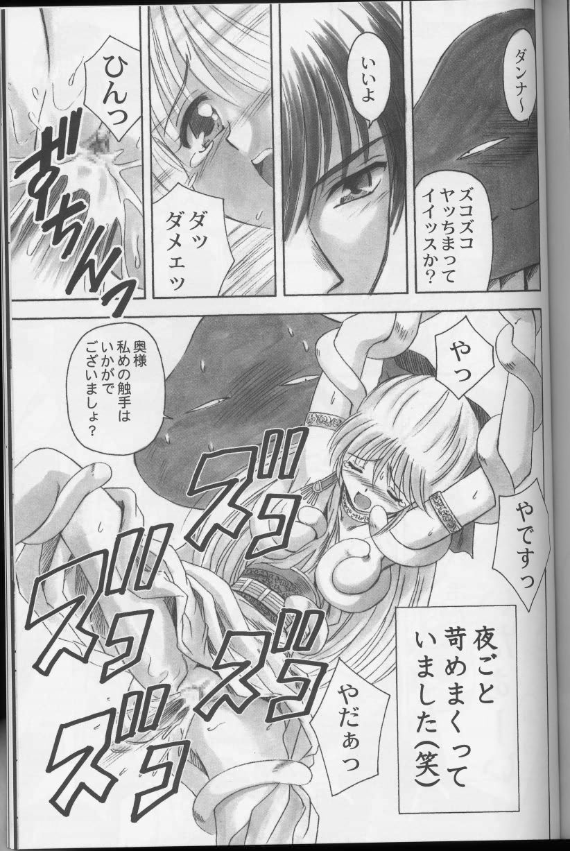 (CR33) [STUDIO RUNAWAY WOLF (Nakajima Akihiko)] Moe Moe Quest (Dragon Quest) - Page 25