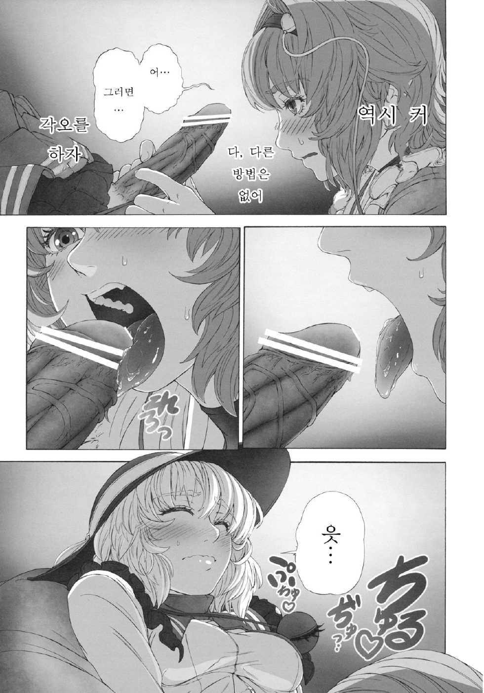 (C83) [UNKNOWN (Imizu)] MAGNUM KOISHI -COMPLETE- (Touhou Project) [Korean] - Page 12