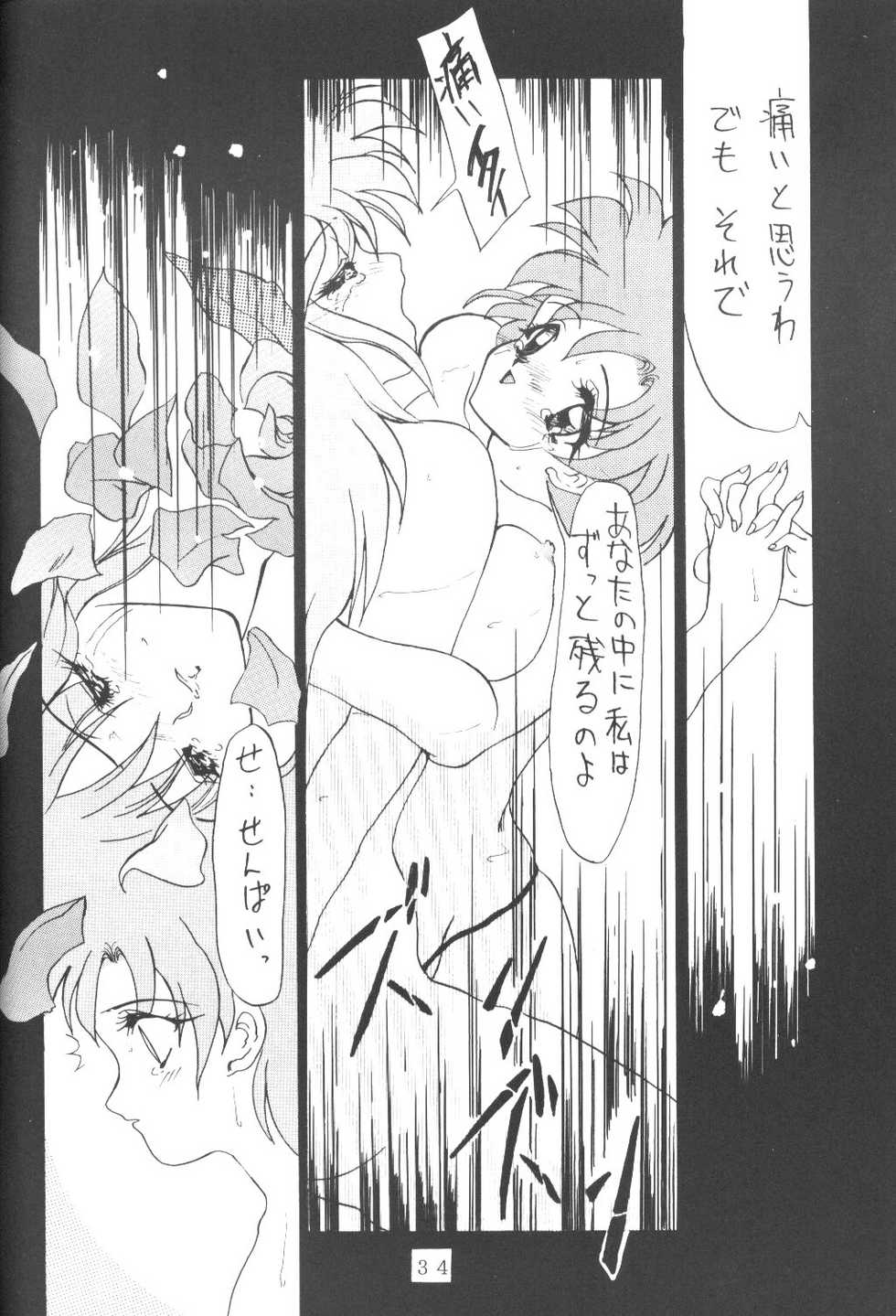 [AION (Tohda)] ALIVE AMI LOST -|- (Bishoujo Senshi Sailor Moon) - Page 33