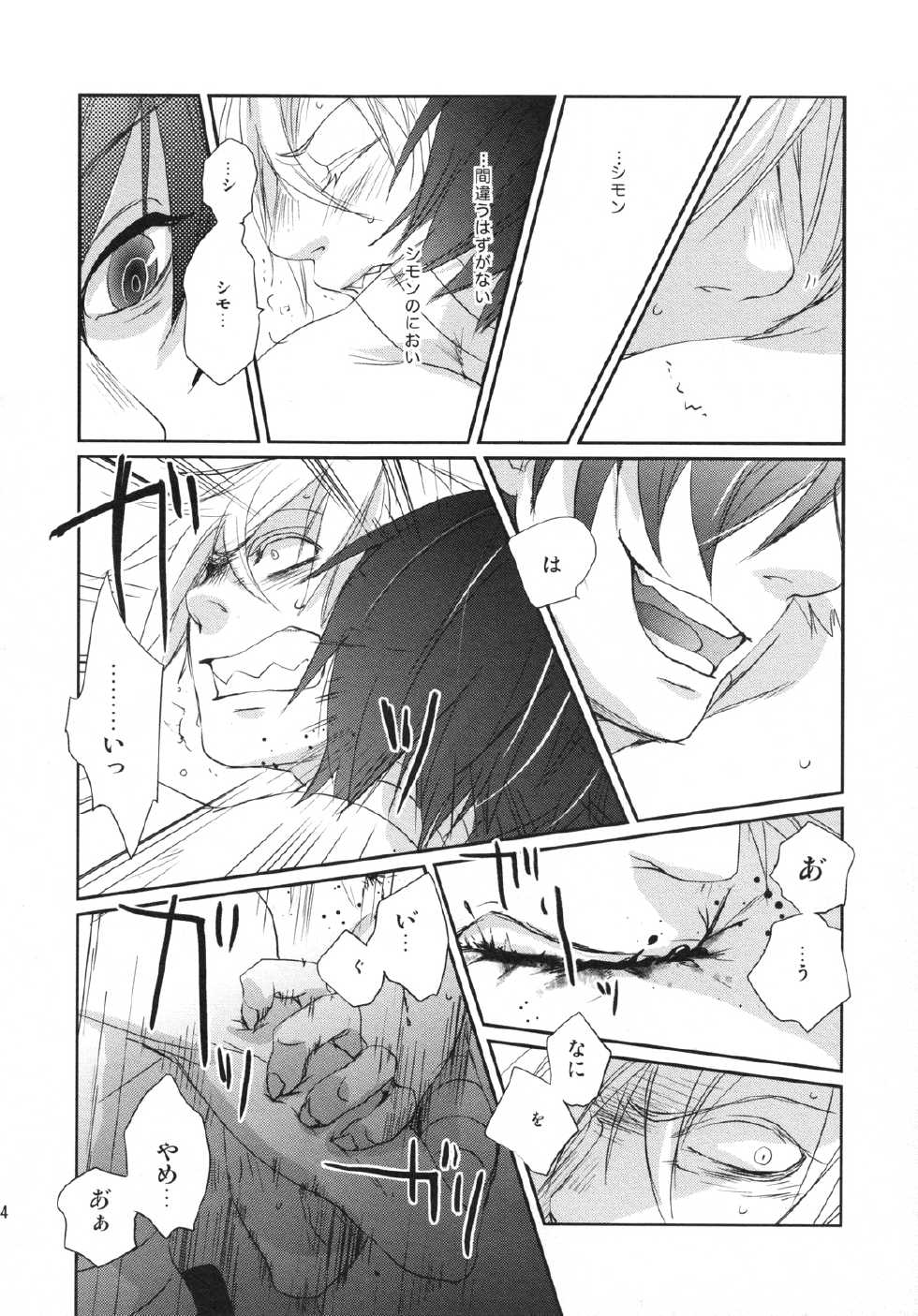 [Mokkuafunfun (Umaisake) Blue Film (Tengen Toppa Gurren Lagann) - Page 24