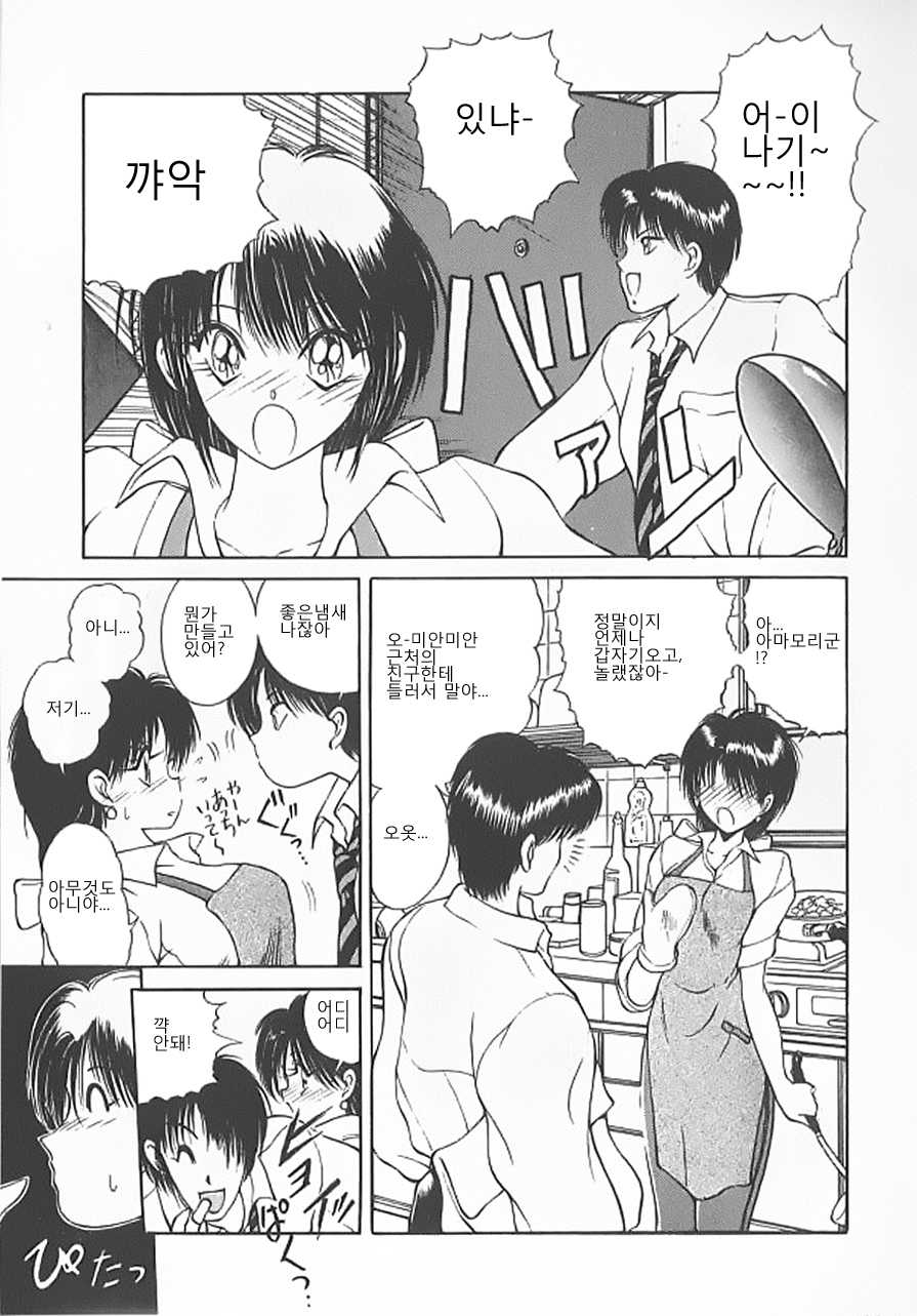 [Fujisaki Makoto] Nagi-chan no Yuuutsu [Korean] [체리펀치] [Incomplete] - Page 26