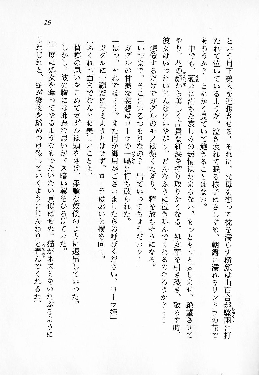 [Ryuumon Kazuki, DAPHNIA] Madou Quest - Princess Kyuushutsu Sakusen - Page 20