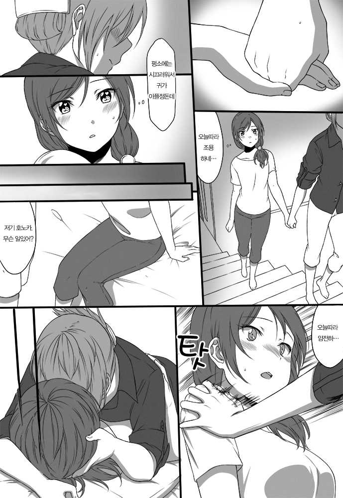 [Inuzuka Clinic (Inuzuka Bouru)] Yoru no Shakaijin Hono Maki Zume (Love Live!) [Korean] [Team Penguins] - Page 3