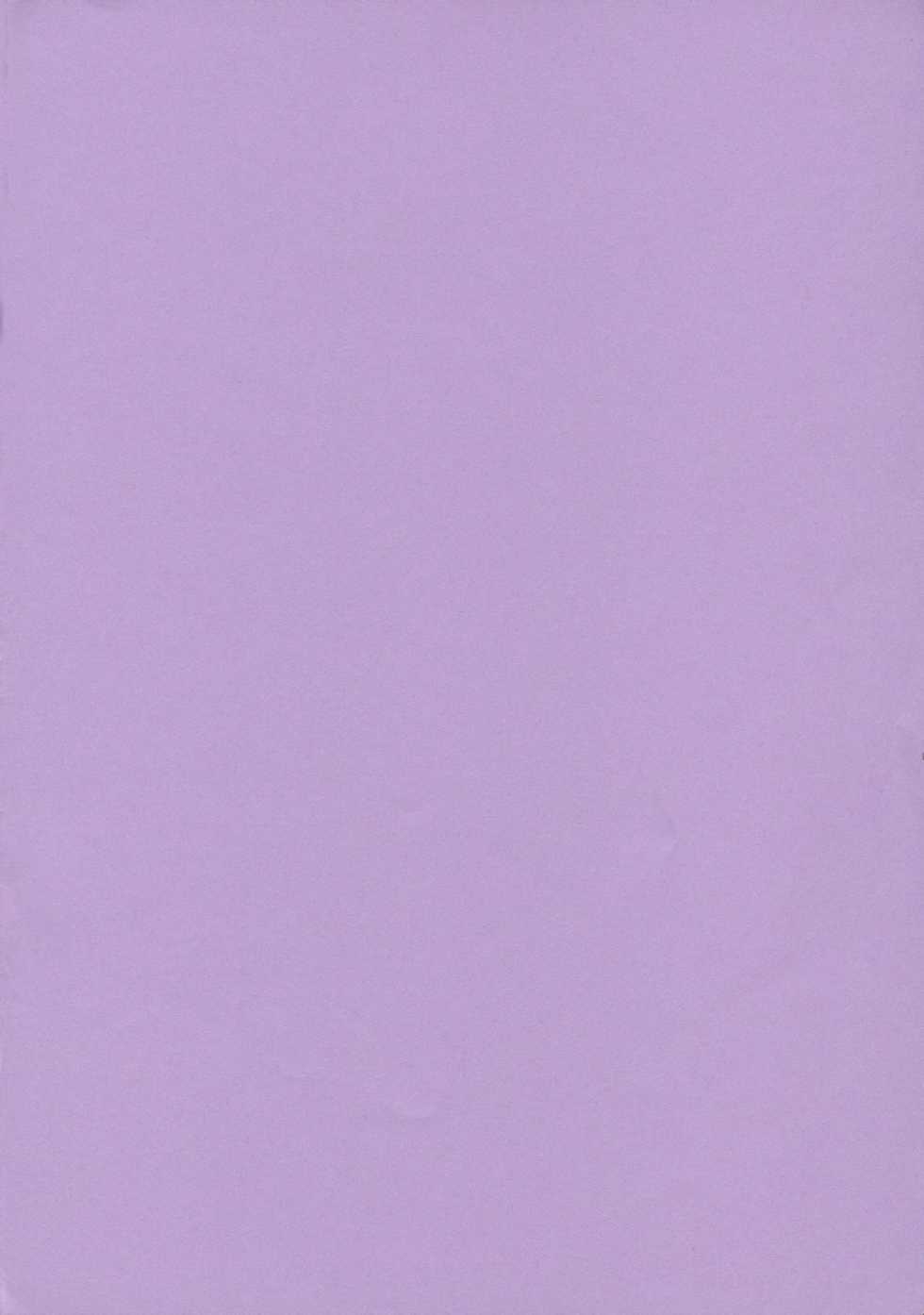 (C70) [Medical Berry (ha-ru)] Fragrance of Lilac (Mahou Sensei Negima!) [Chinese] [Befreiungsfuehrer第二次个人汉化] - Page 3