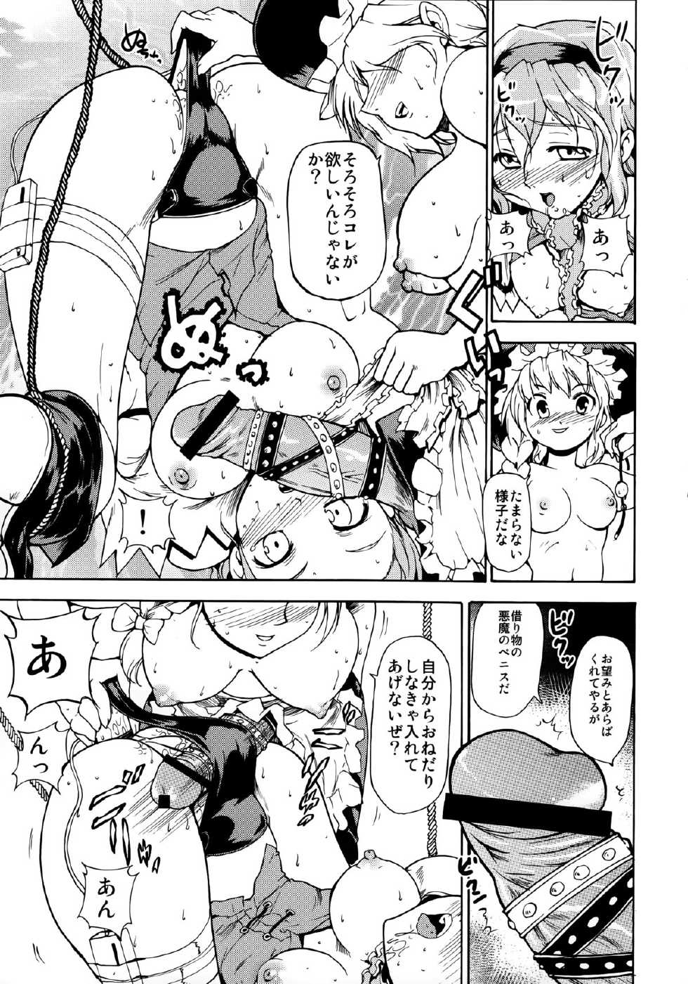 (Reitaisai 8) [PARANOIA CAT (Fujiwara Shunicihi)] Touhou Ukiyo Emaki Sairokushuu (Touhou Project) - Page 19
