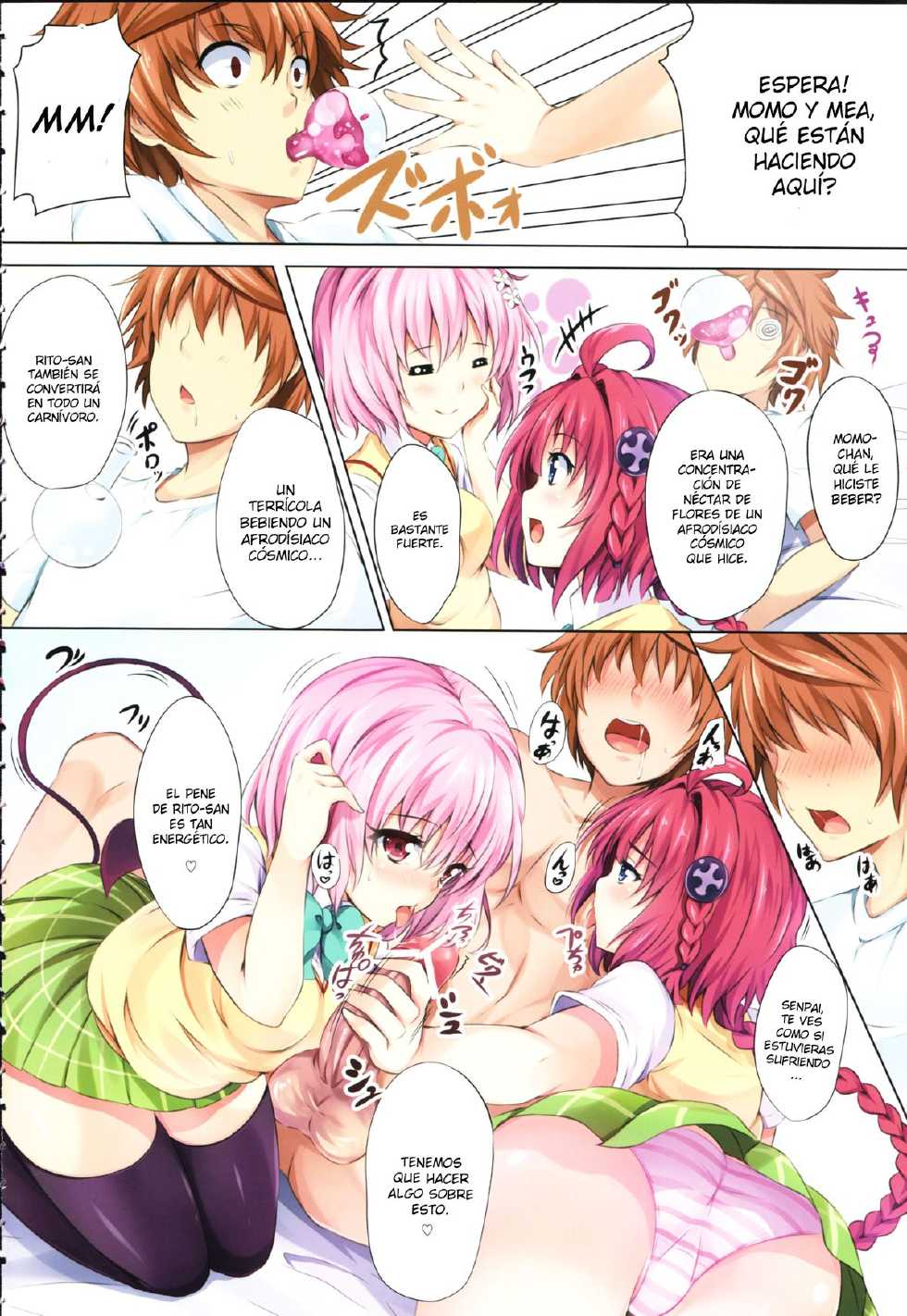 (C83) [SOTIKOTI (soramoti)] To LoVe-Ru Party (To LOVE-Ru) [Spanish] [XHentai95] - Page 3