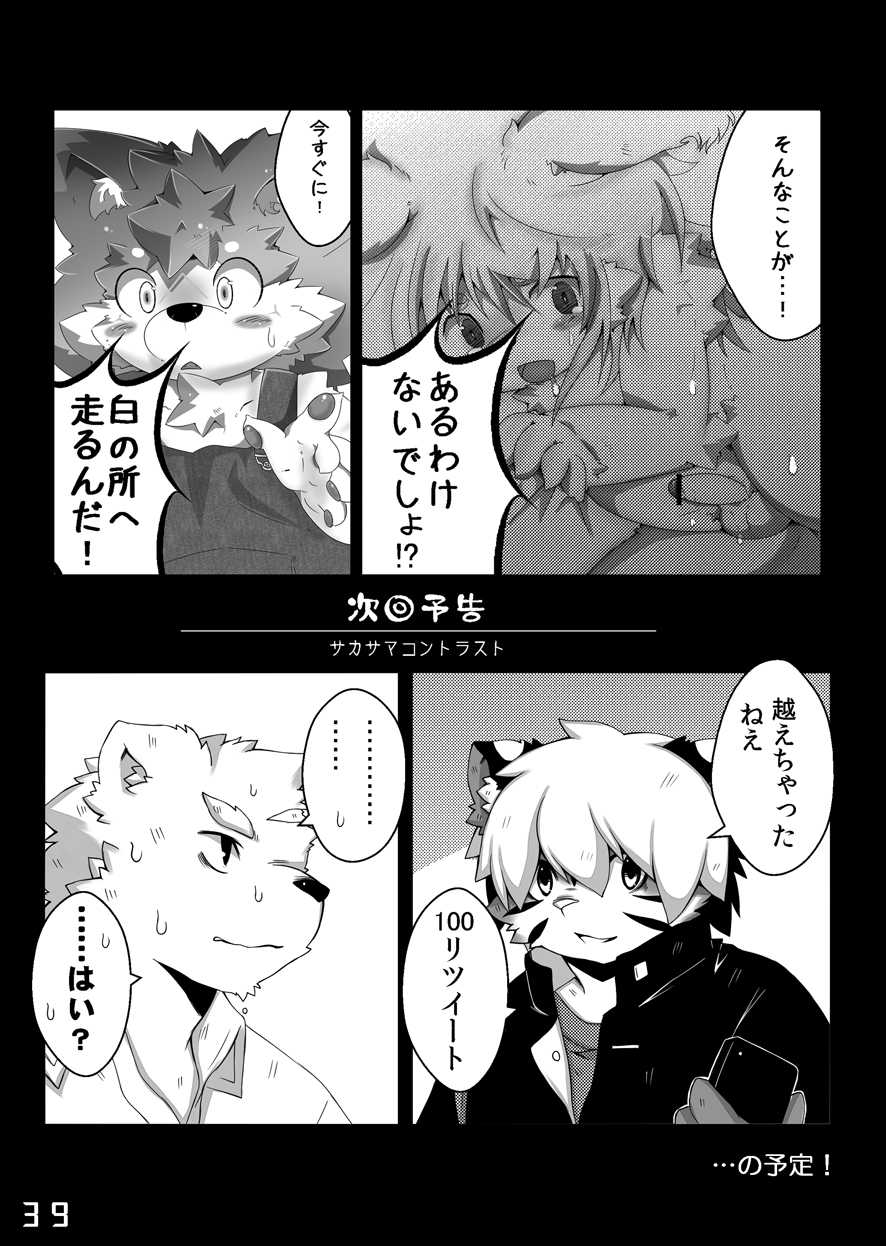 (Fur-st 3) [MONOTRUST (Parma, Tsurugi)] SAKASAMA Contrast - Page 40