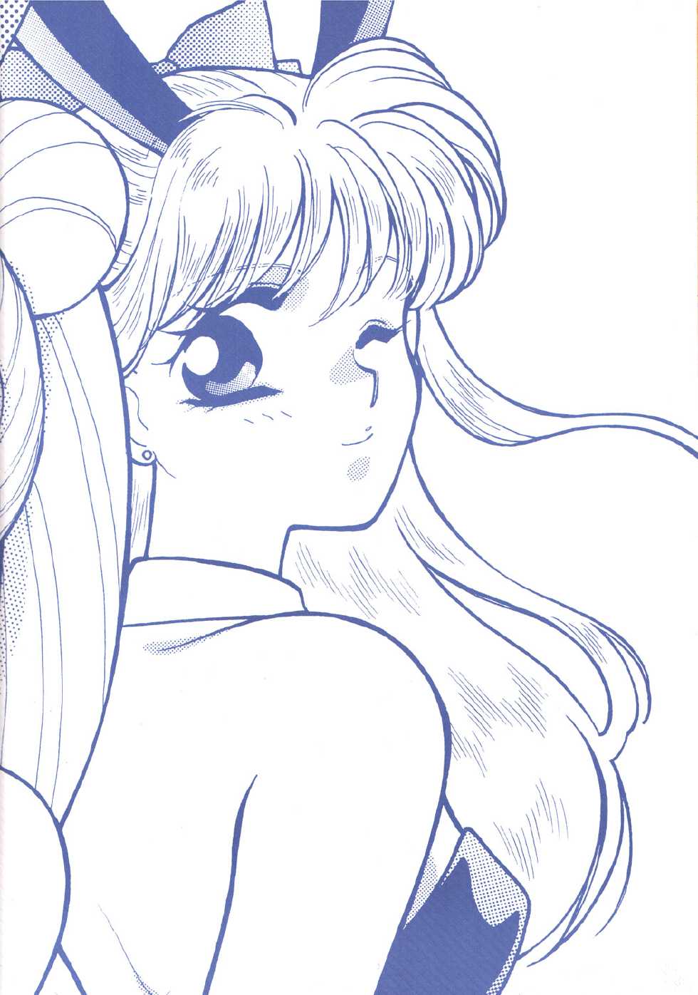 (C45) [Joudan Janai Yo! (Kadoi Aya)] S.M.M. Special (Bishoujo Senshi Sailor Moon) - Page 39