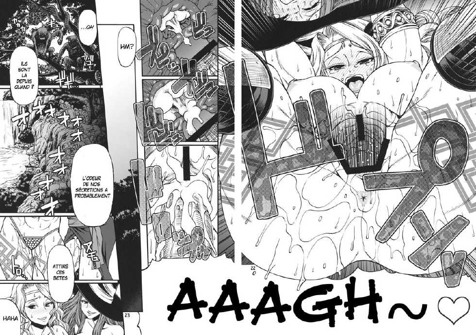 (C80) [CELLULOID-ACME (Chiba Toshirou)] PARTY HARD (Dragon's Crown) [French] {Adopte un pervers} - Page 21