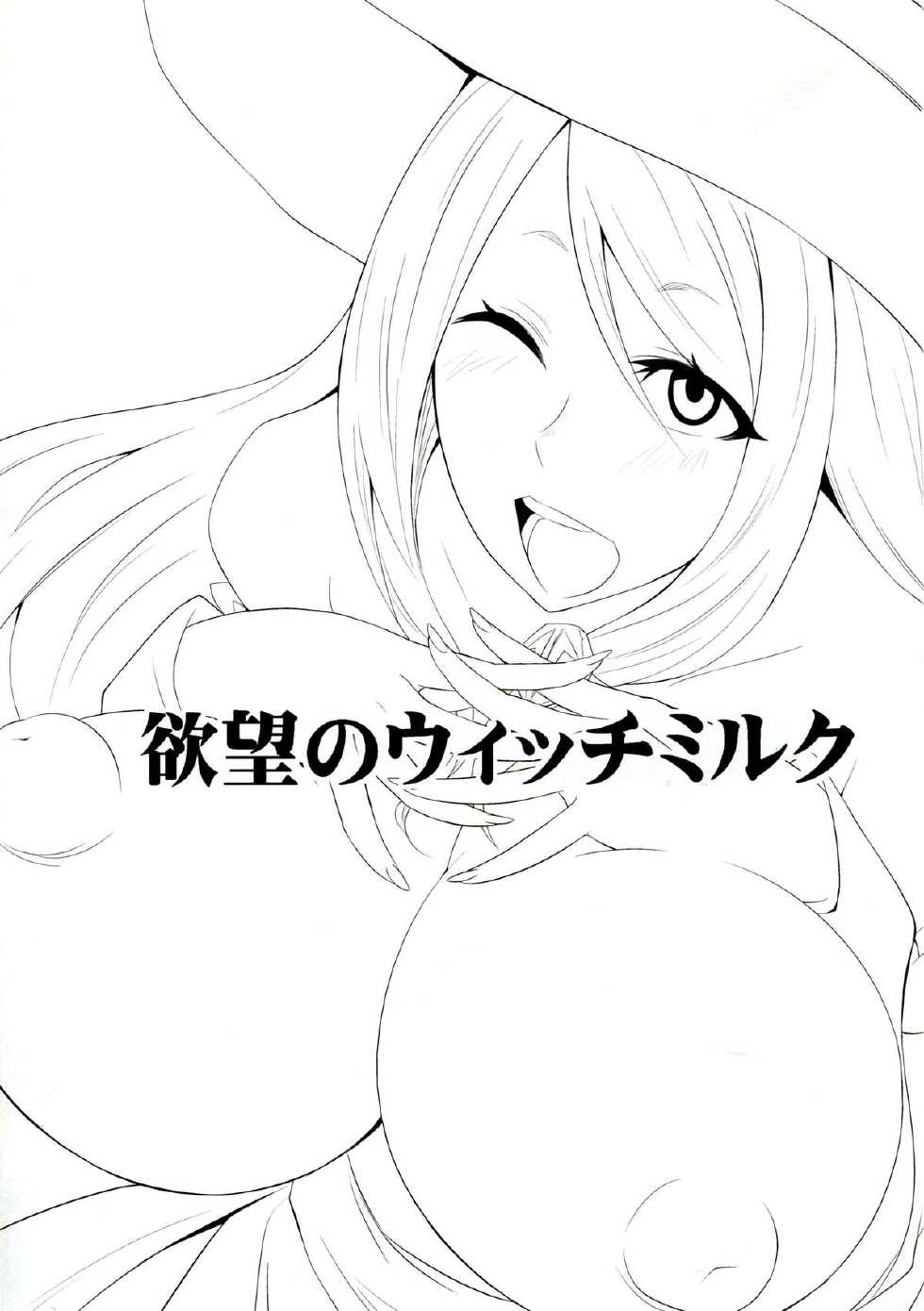 (C85) [Gravi-dan (Kobayashi Tetsuya)] Yokubou no Witch's Milk (Dragon's Crown) [Chinese] [脸肿汉化组] - Page 4