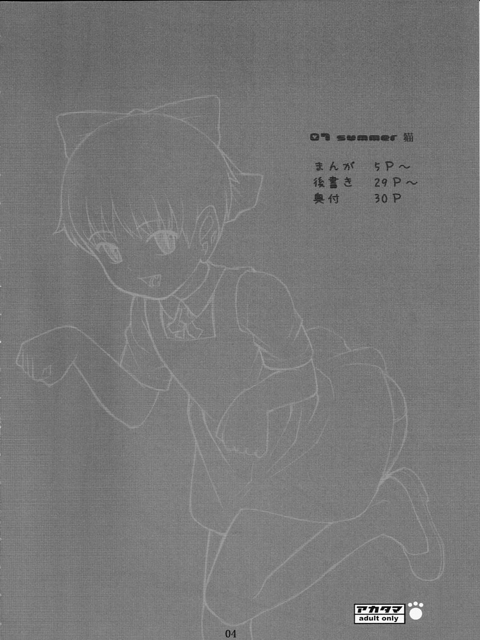 (C72) [Akatama (Sakurafubuki Nel)] 07 Summer Neko (Gegege no Kitarou) - Page 3