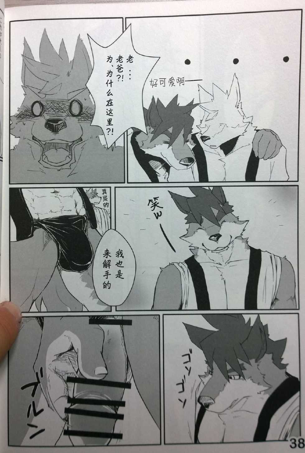 (Kansai! Kemoket 3) [Beats Beasts Fellas (Various)] Sengoku Animal Hatashiai Futatabi - Page 37