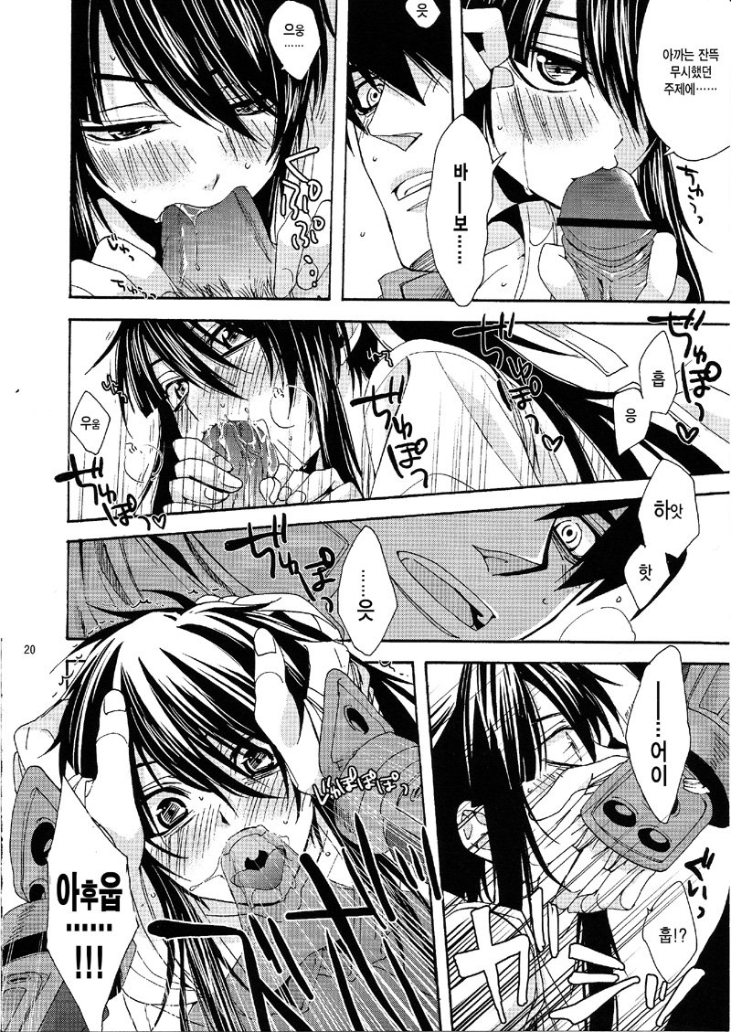 C84) [Santarose (Umezu Yoko)] Heart no Jack ga Pie wo Nusunda Koto no Shoumei | 하트의 잭이 파이를 훔친 증거 (Drifters) [Korean] - Page 19