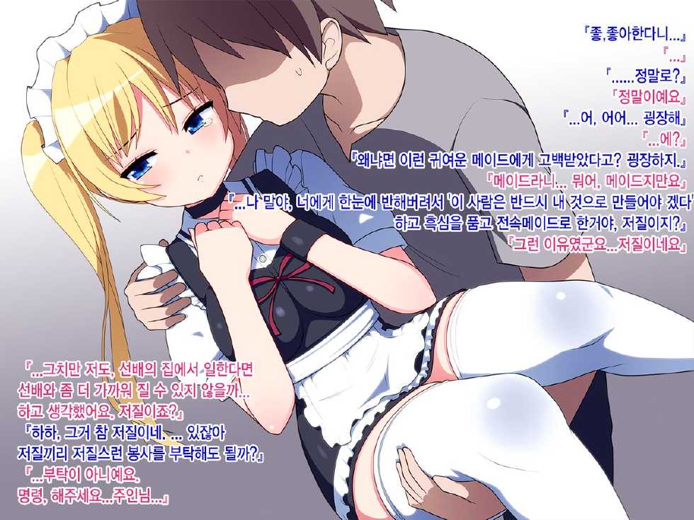 [7cm] Kinpatsu Twintail Maid [Korean]  [Team Dog Drip] - Page 20