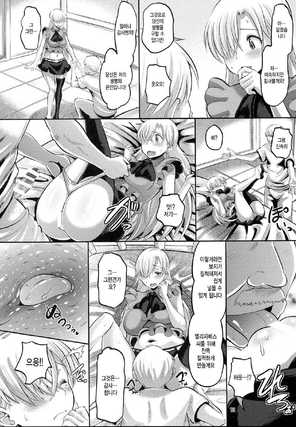 (C87) [AMP (Norakuro Nero)] Damasare Oujo Elizabeth | 속여진 왕녀 엘리자베스 (Nanatsu no Taizai) [Korean] [Team Dogdrip] - Page 11