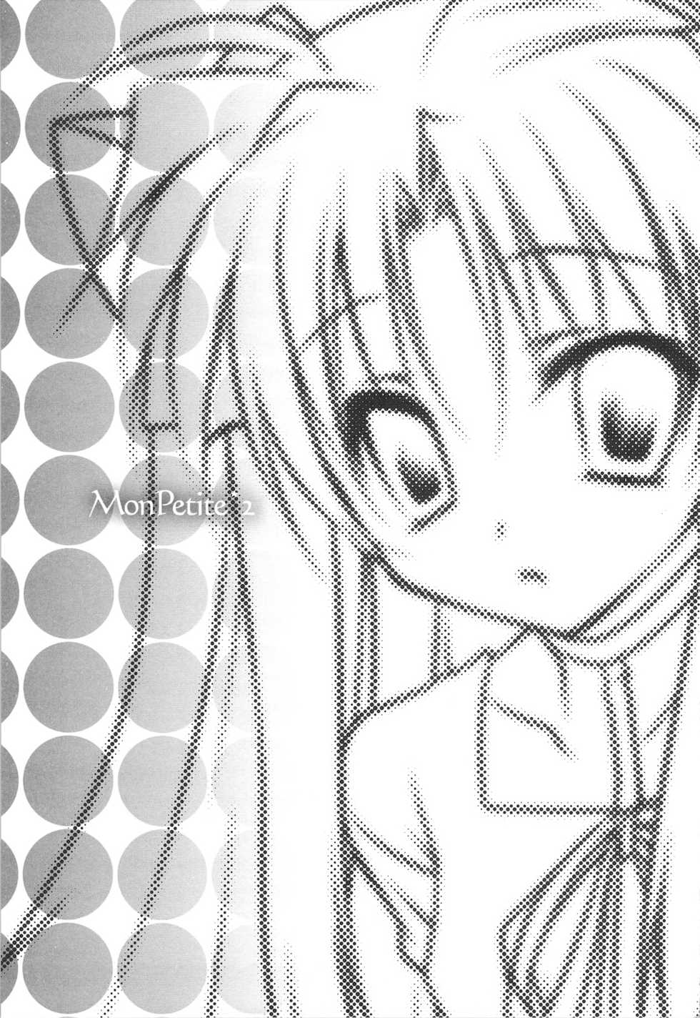 (C75) [Parufe (Hayashi Sakura)] MonPetit*2 (Mahou Shoujo Lyrical Nanoha) - Page 6