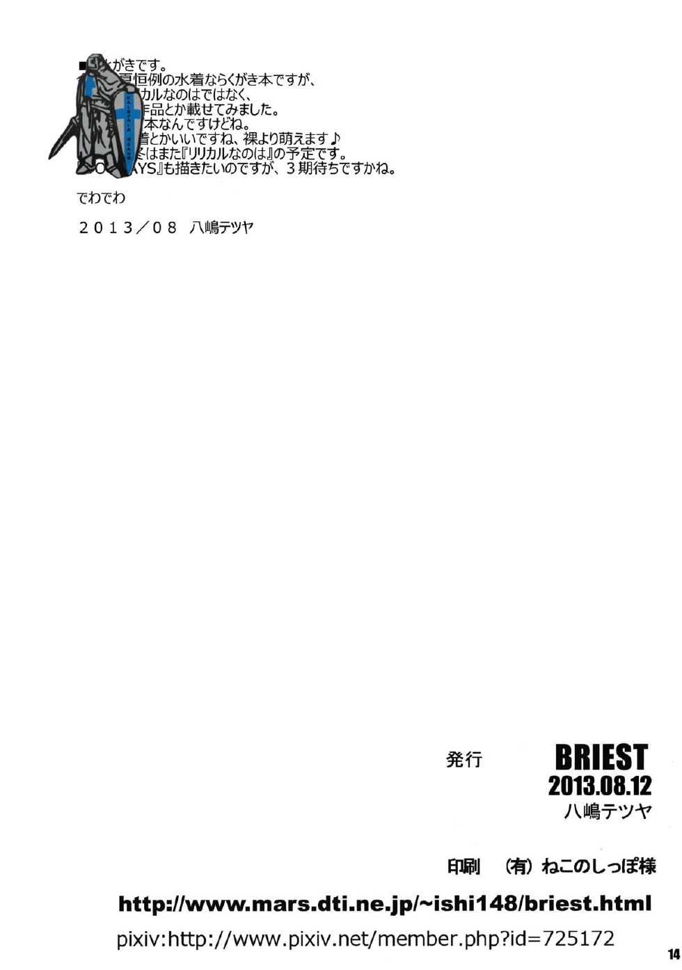 (C84) [BRIEST (Yatsushima Tetsuya)] T2R/02 (Various) - Page 13