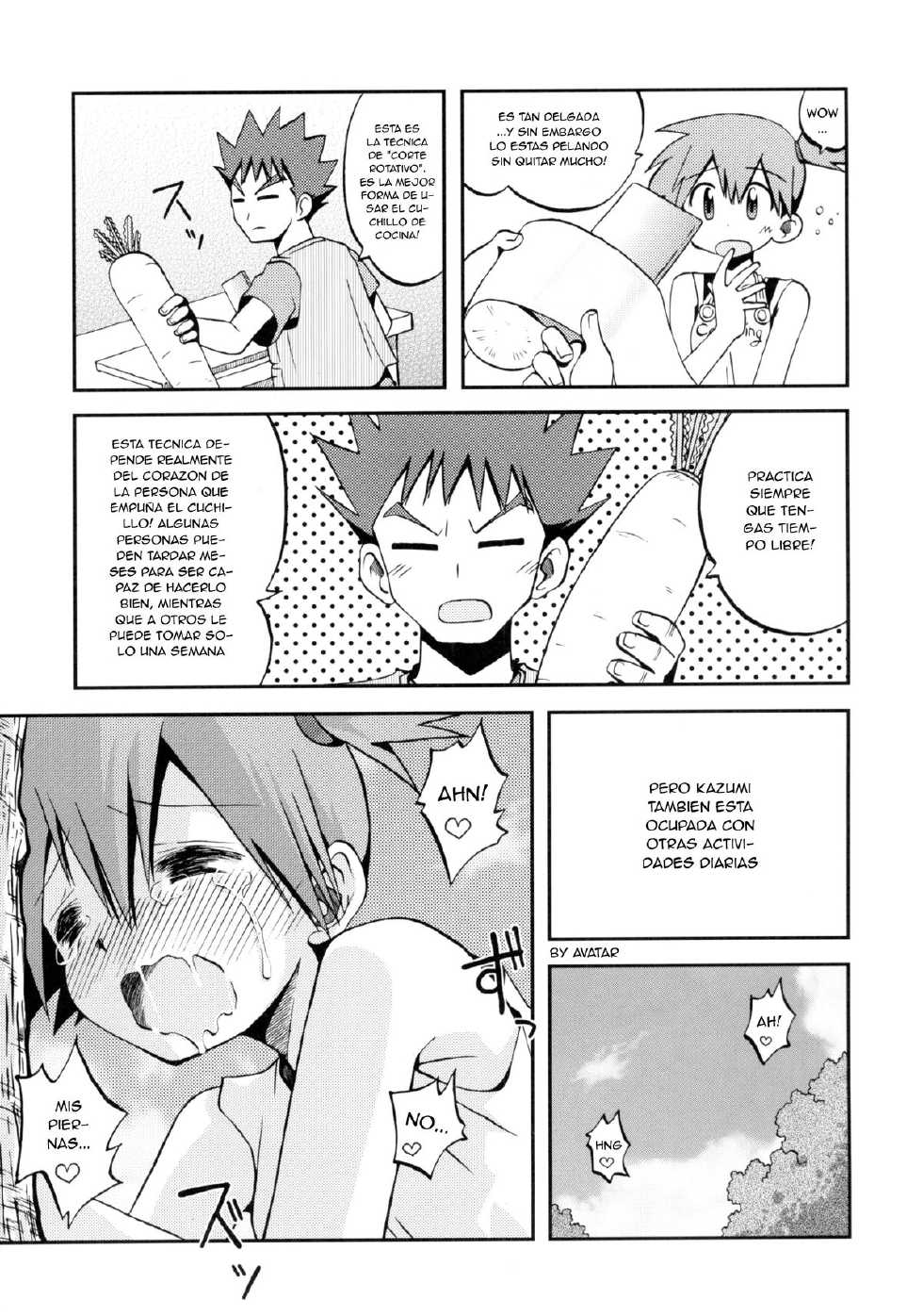 (C82) [Ukkaridou (Shimazu Isami)] Kotoba ni Sureba Kieteshimaisou na Yume (Pokemon) [Spanish] [Avatar] - Page 11