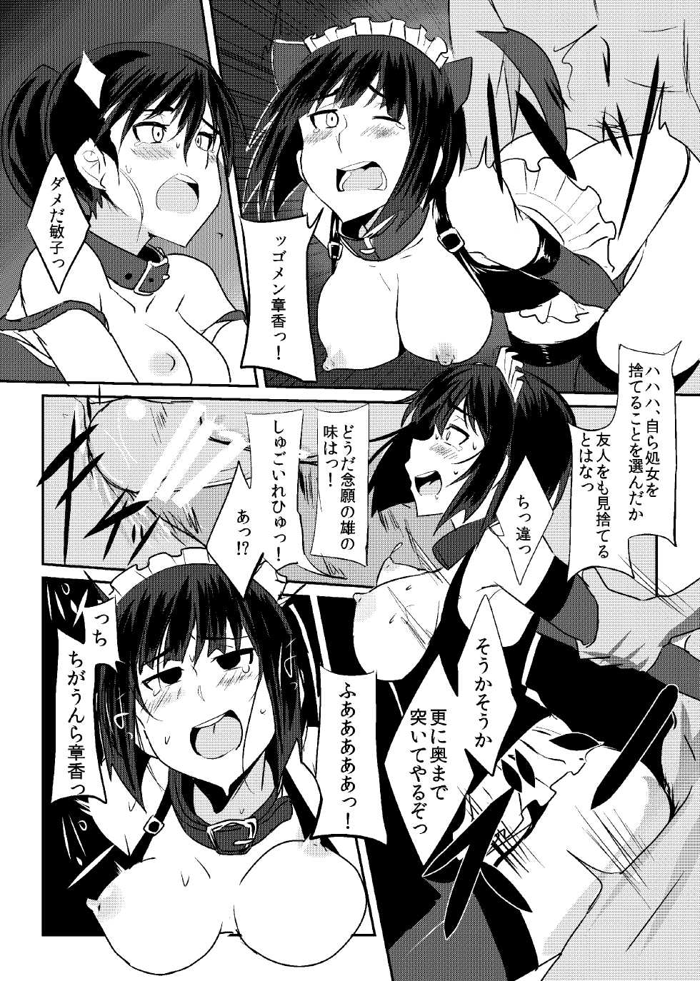 [Jitaku vacation (Ulrich)] THE SLAVE MATES (Strike Witches) [Digital] - Page 25