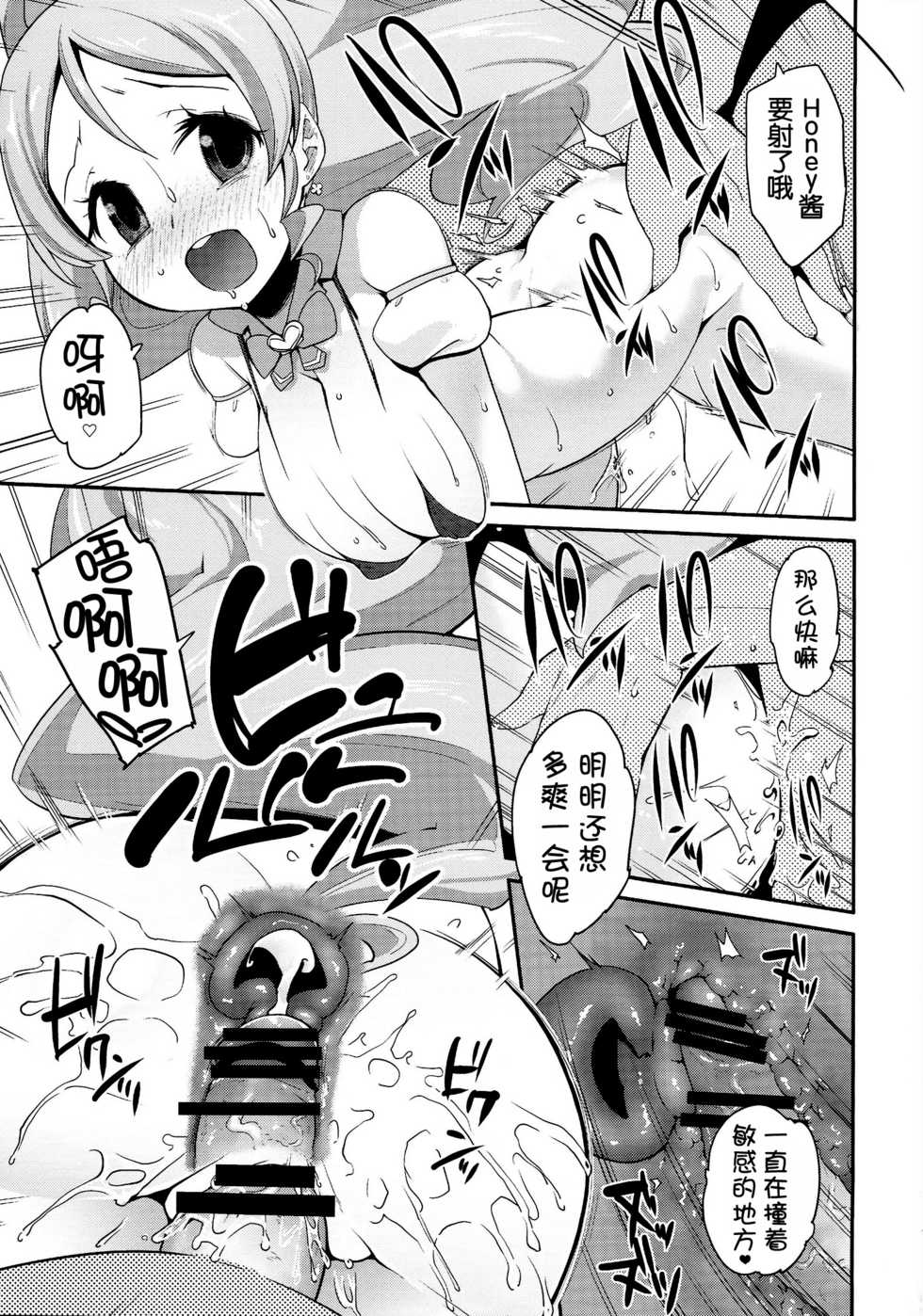 (C87) [condiment moderately (Maeshima Ryo)] Happiness experience2 (HappinessCharge Precure!) [Chinese] [狼娘汉化] - Page 13