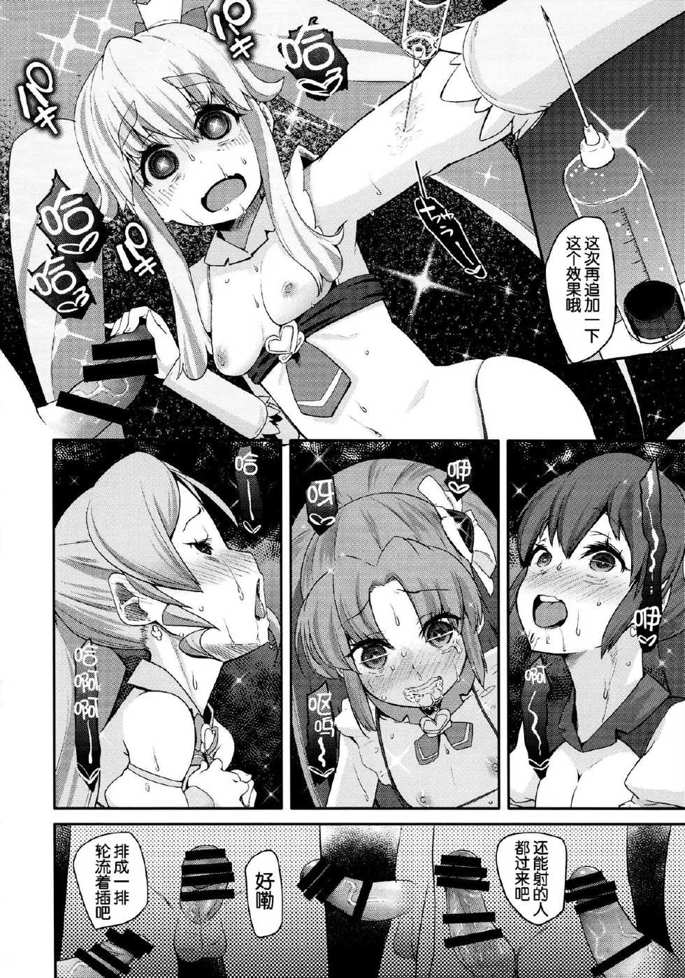(C87) [condiment moderately (Maeshima Ryo)] Happiness experience2 (HappinessCharge Precure!) [Chinese] [狼娘汉化] - Page 22