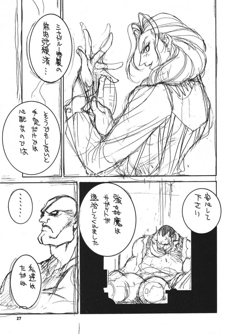 (C71) [P-collection (nori-haru)] Kakutou Complete Gekan (Street Fighter, Dead or Alive) - Page 28