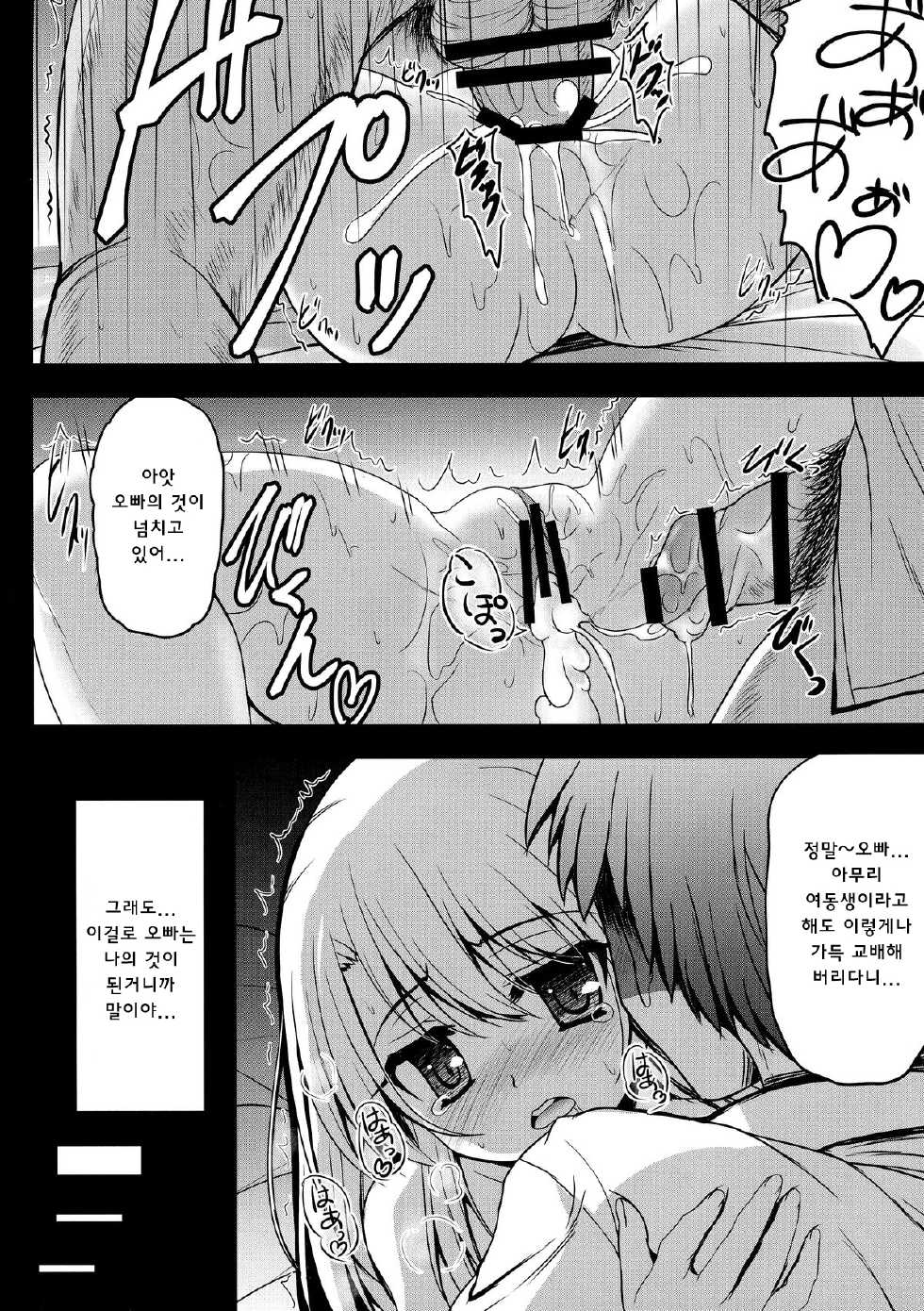 (SC65) [SHINING (Shaian)] Onii-chan... Illya to Ecchi Shiyo... (Fate/kaleid liner Prisma Illya) [Korean] [WestVatican] - Page 12