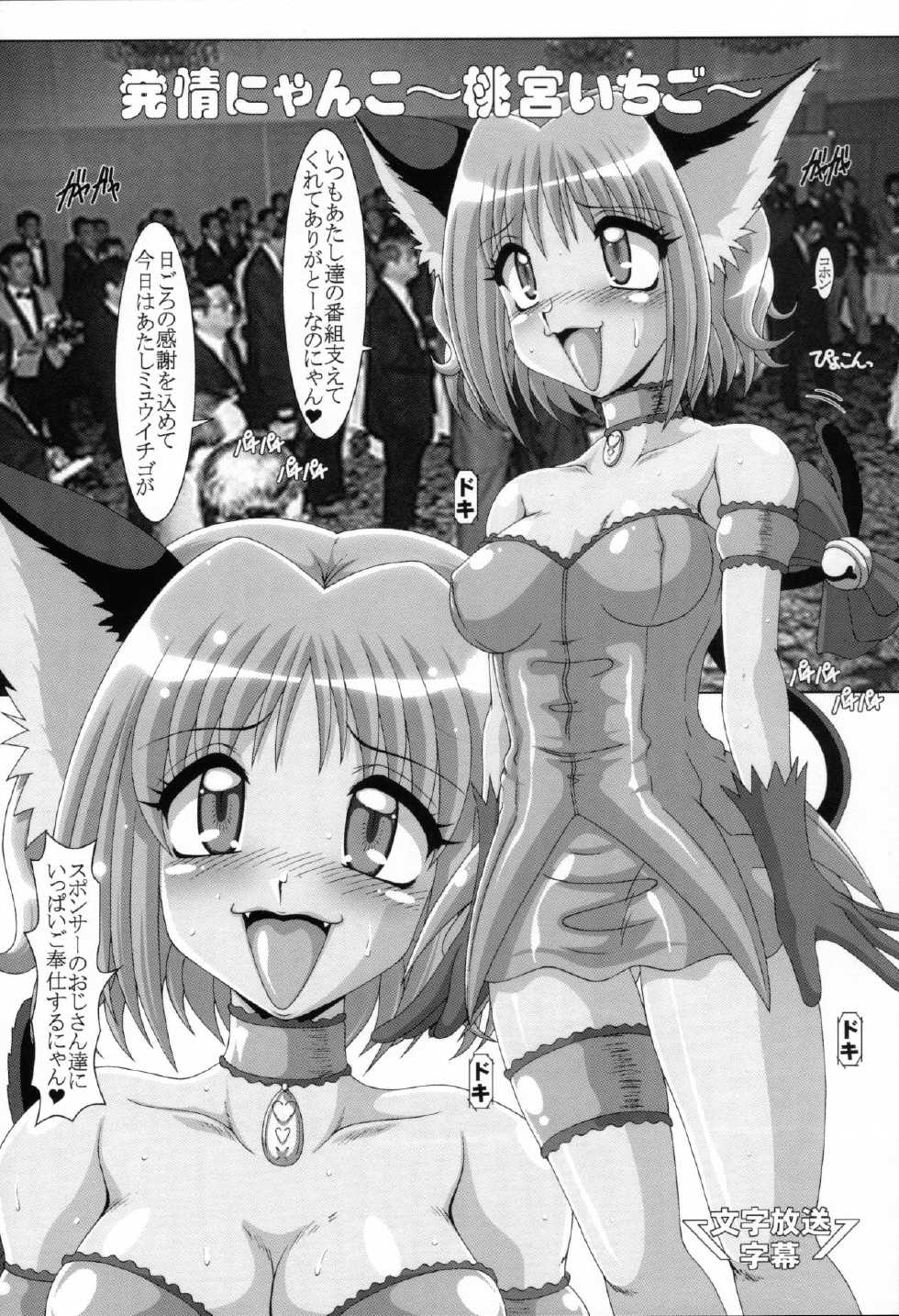 (C61) [Hakueki Shobou (A-Teru Haito)] Choukyou Mew Mew (Tokyo Mew Mew) - Page 4