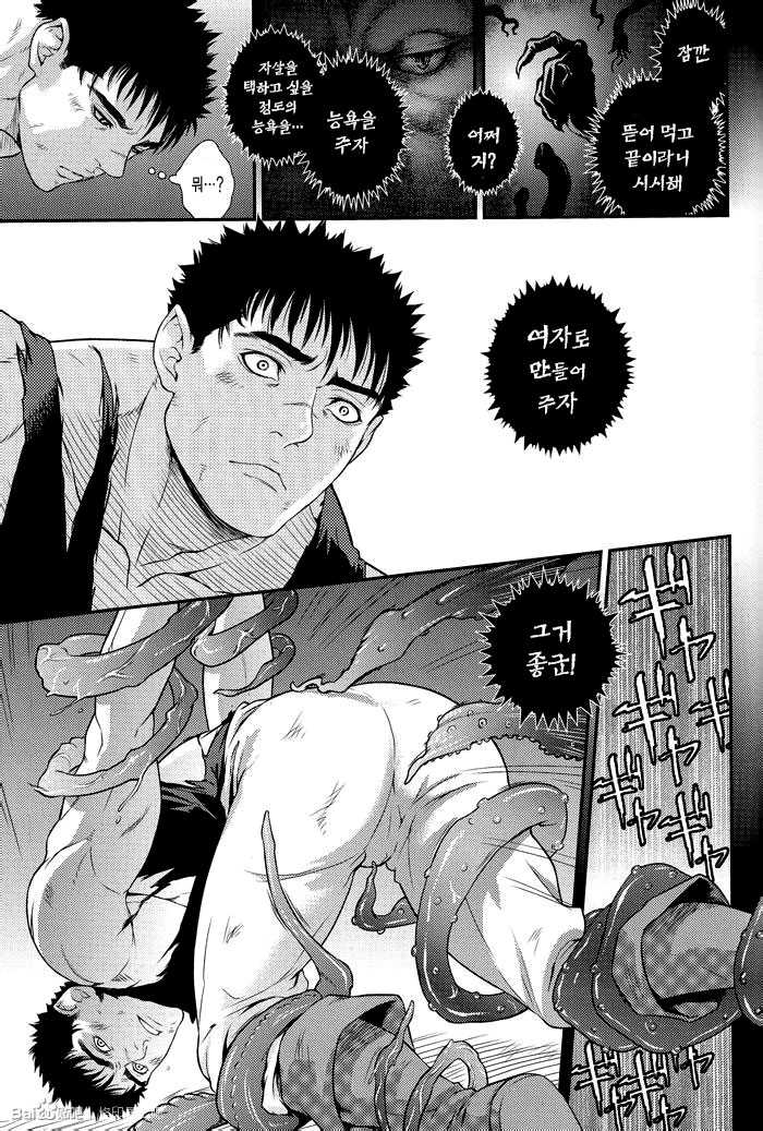 (C85) [Killer Bambi (Matsumoto Inaki)] Sacrifice (Berserk) [Korean] [Faken translate] - Page 8