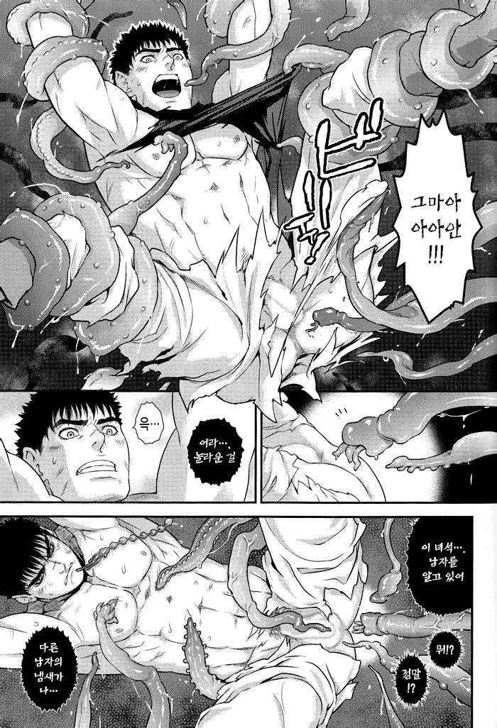 (C85) [Killer Bambi (Matsumoto Inaki)] Sacrifice (Berserk) [Korean] [Faken translate] - Page 10