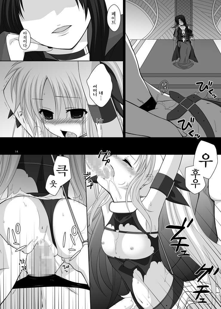 [Hitsuji 1ban Shibori (Hitsuji Hako)] Geki Nano!! (Mahou Shoujo Lyrical Nanoha) [Korean] [Digital] - Page 12