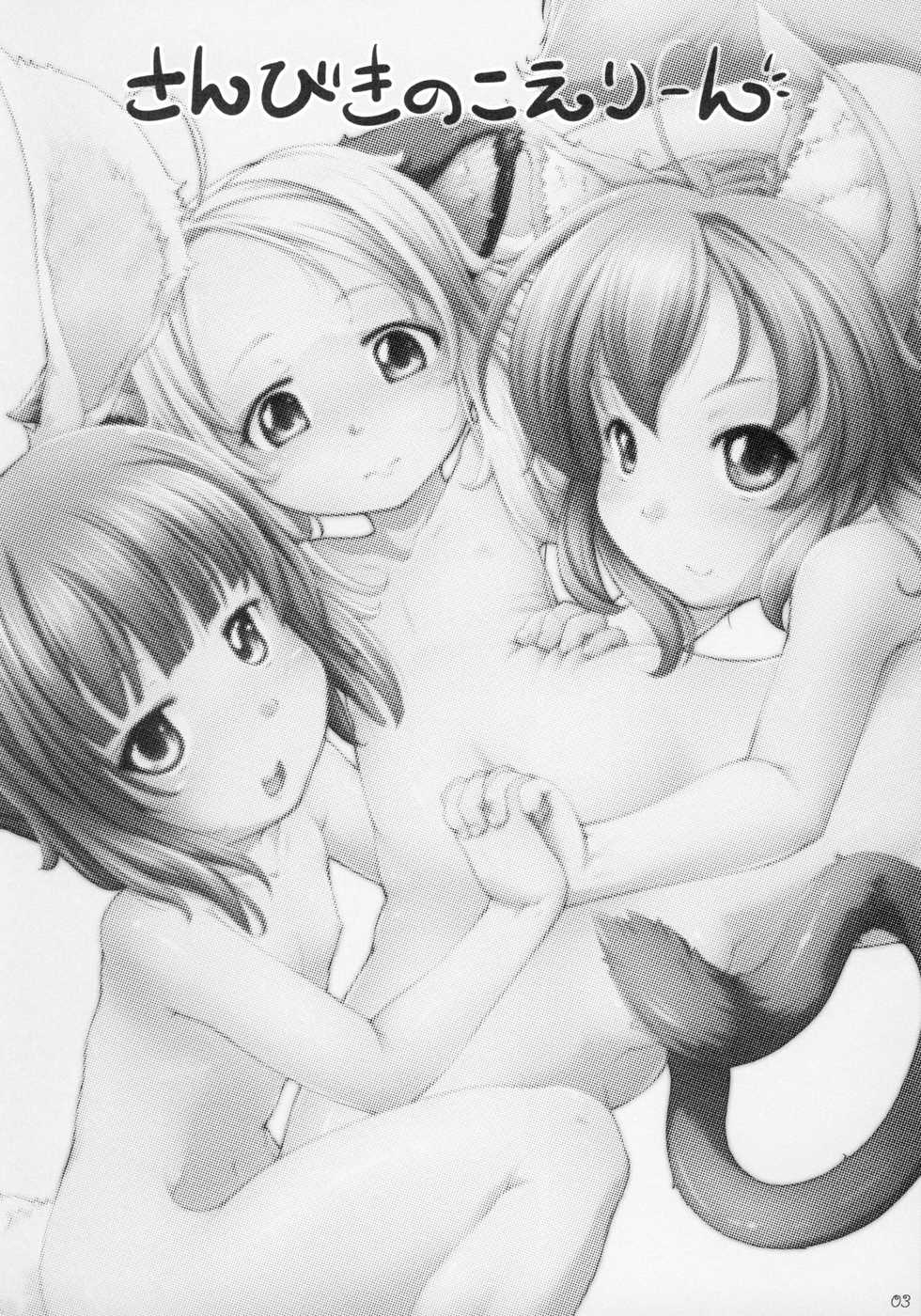 (C87) [Kitchen*Channel (Kicchan)] The Three Little Elin (TERA The Exiled Realm of Arborea) - Page 3