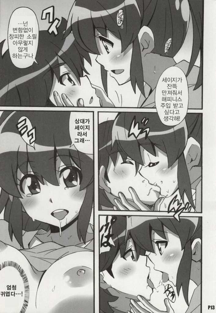 (SC65) [Hacchakesou (PONPON)] Megumi Love Story | 메구미 러브 스토리 (HappinessCharge Precure!) [Korean] - Page 12