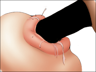 [πO2 (Izumi Makoto)] Midara Niku no Mai ~ Ninpou Utsubo Kazura ~ (King of Fighters) - Page 27