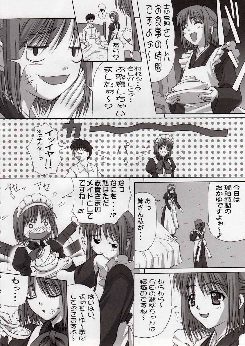 (C64) [Tamaranchi (Sinbo Tamaran)] Sogetuka (Tsukihime) - Page 23