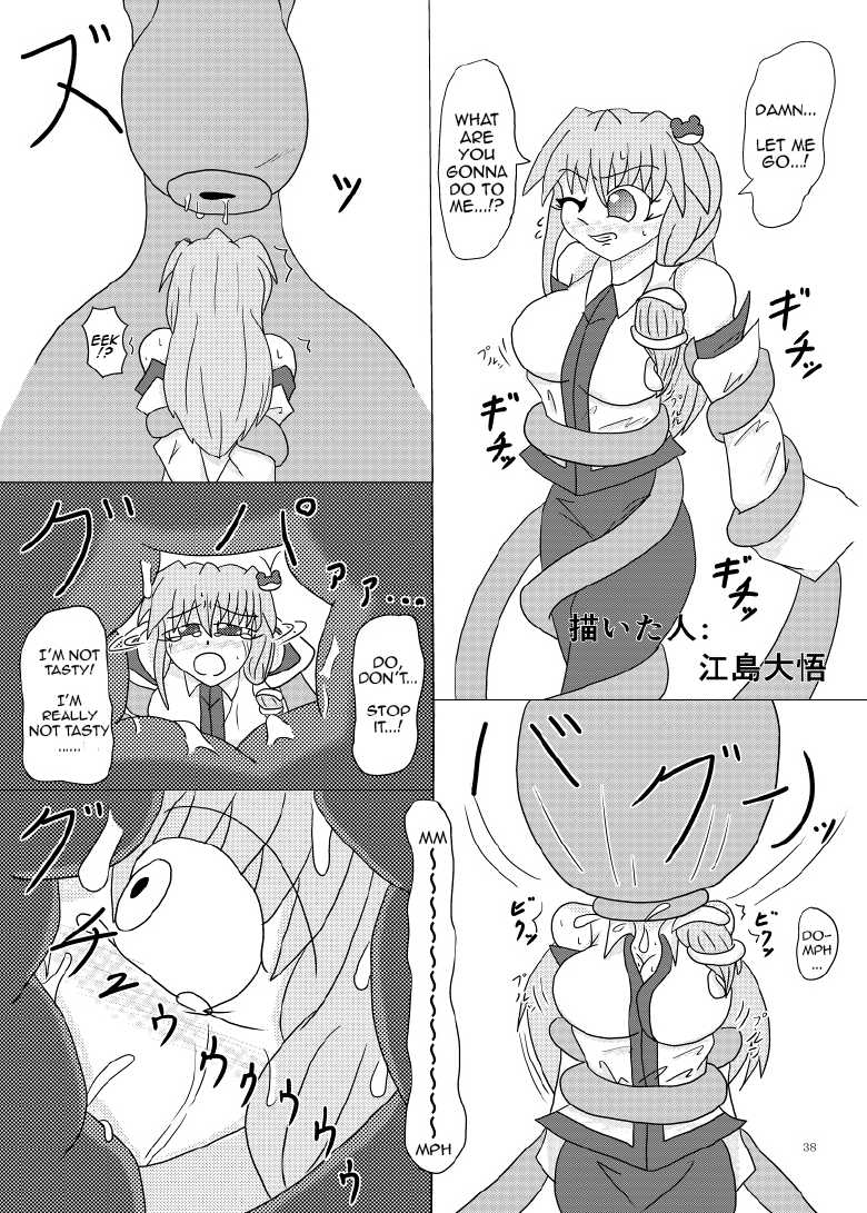 [Gensou Stomach (Various)] Marunomi no Kanzume - Touhou x Marunomi Situ Goudoushi (Touhou Project) [English] (CrayZayJay) [Digital] - Page 39