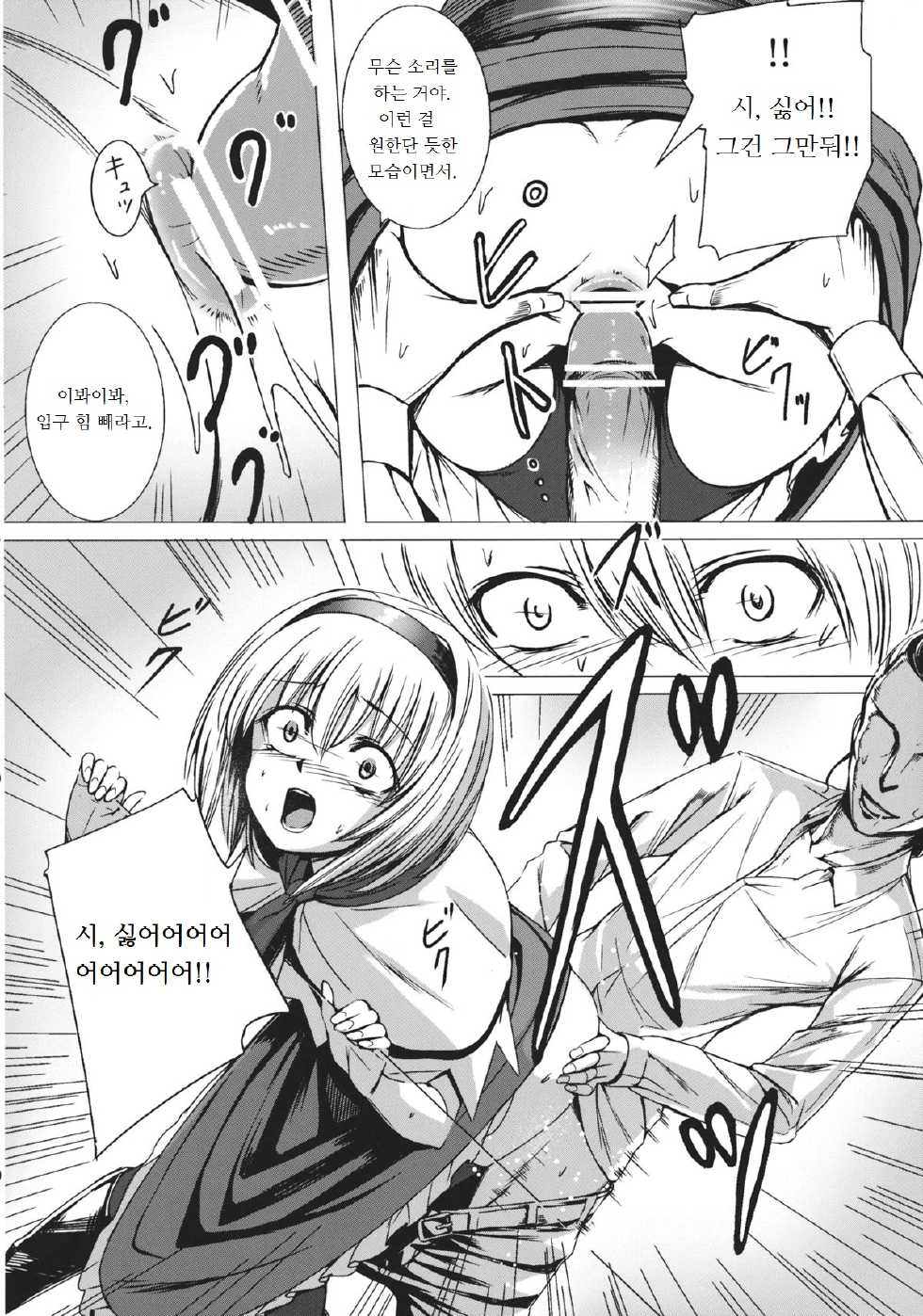 (C83) [Susano Arashi (Takemori Shintarou)] Uwasa no Ningyoushi Alice (Touhou Project) [Korean] - Page 12