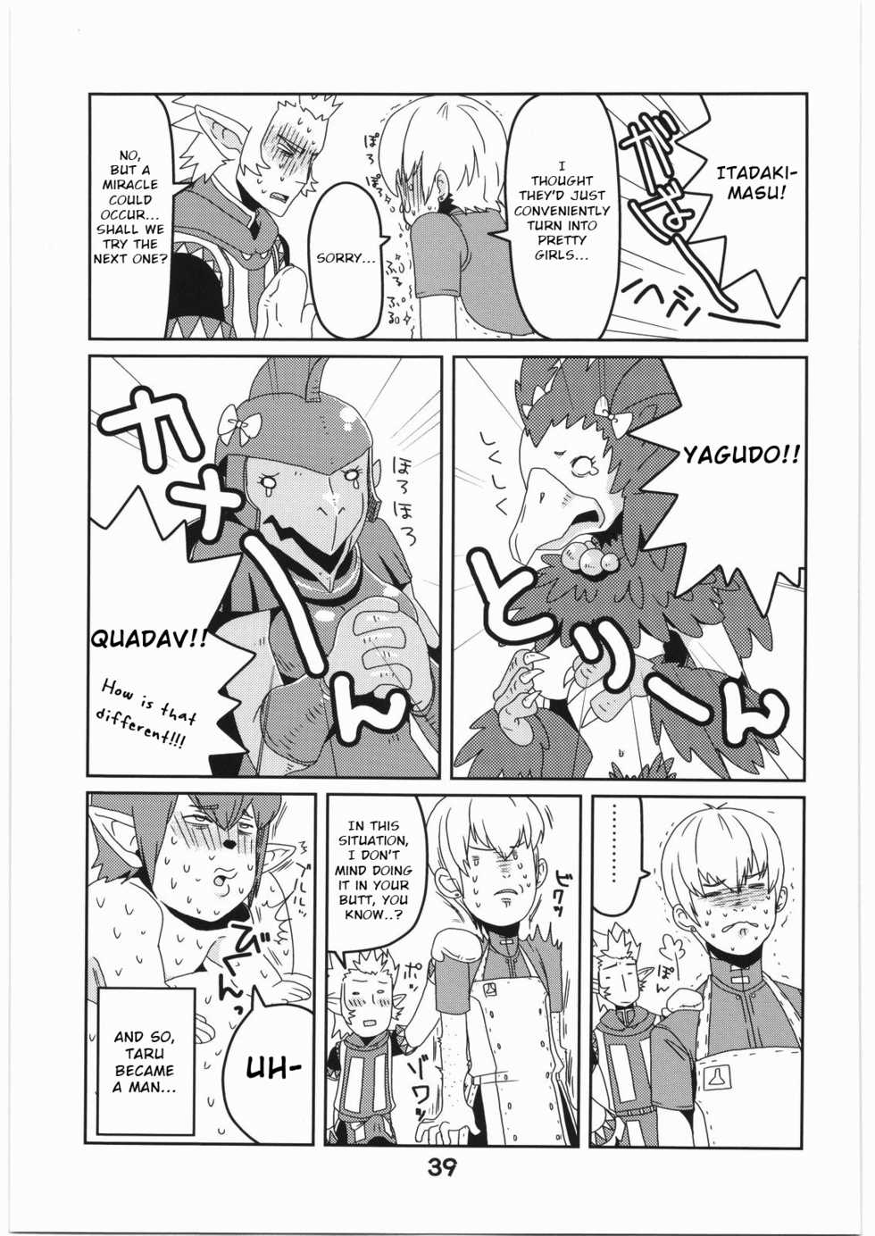 (C76) [Rapid Rabbit (Various)] WITCH SWITCH (Final Fantasy XI) [English] [VVayfarer] - Page 38
