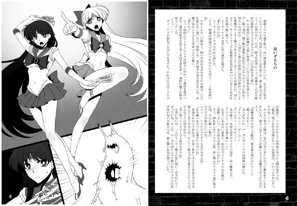 [Daraku Jiko Chousa Iinkai (Sch-mit)] Kasei to Kinsei no Nare no Hate (Bishoujo Senshi Sailor Moon) [Digital] - Page 3