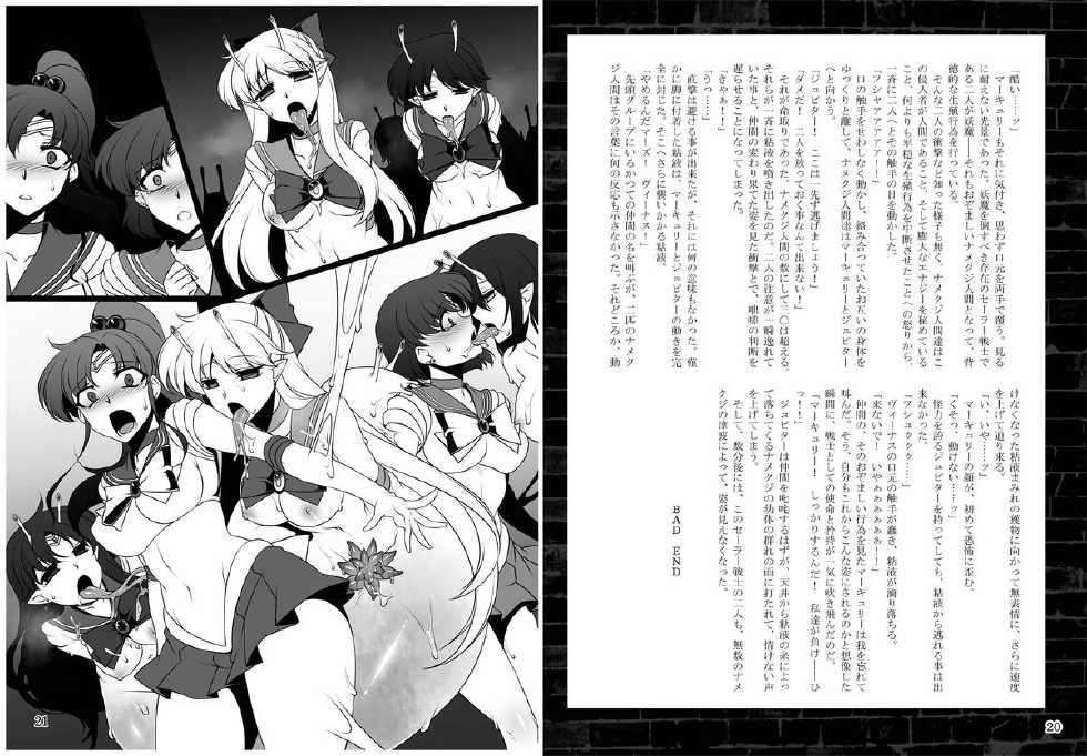 [Daraku Jiko Chousa Iinkai (Sch-mit)] Kasei to Kinsei no Nare no Hate (Bishoujo Senshi Sailor Moon) [Digital] - Page 11