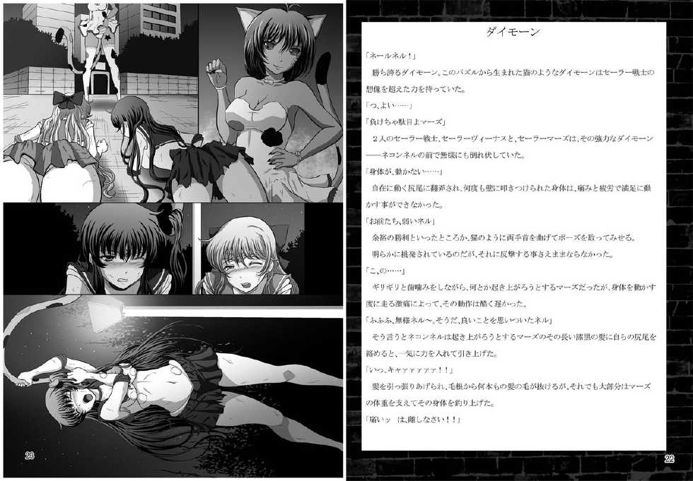 [Daraku Jiko Chousa Iinkai (Sch-mit)] Kasei to Kinsei no Nare no Hate (Bishoujo Senshi Sailor Moon) [Digital] - Page 12