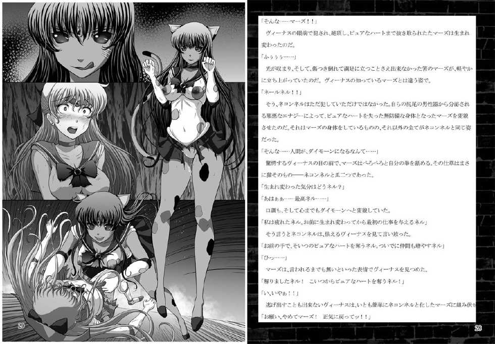 [Daraku Jiko Chousa Iinkai (Sch-mit)] Kasei to Kinsei no Nare no Hate (Bishoujo Senshi Sailor Moon) [Digital] - Page 15