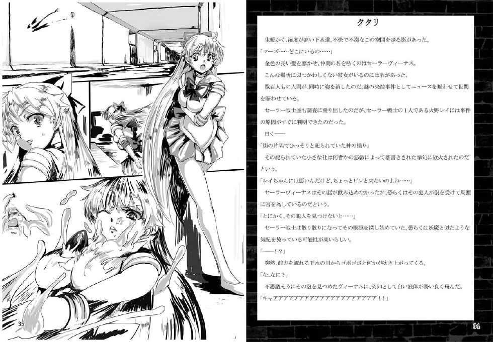 [Daraku Jiko Chousa Iinkai (Sch-mit)] Kasei to Kinsei no Nare no Hate (Bishoujo Senshi Sailor Moon) [Digital] - Page 18